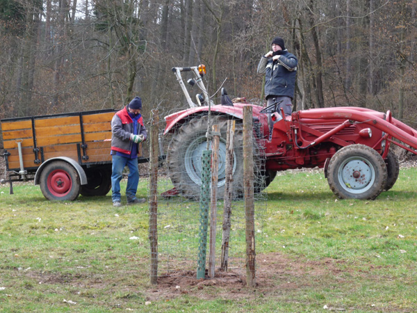 Dezember 2013 <br/> „auch wenn ich genau wüsste, dass morgen die Welt untergeht, so würde ich dennoch heute einen neuen Baum pflanzen“