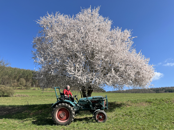 <p>April 2025<br/>„Frühling in Zittenfelden