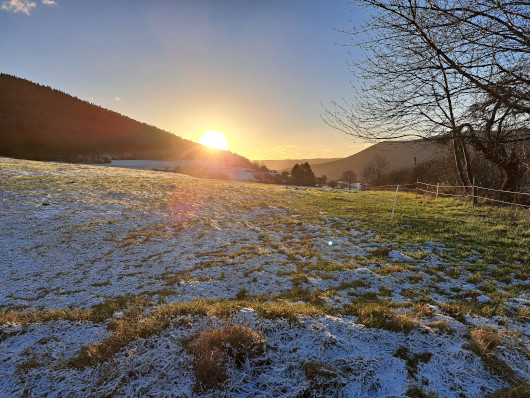 Winterwanderung ab/bis Weingut Stich