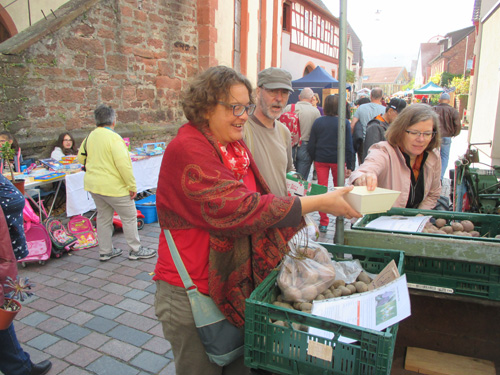 Bauernmarkt 2017