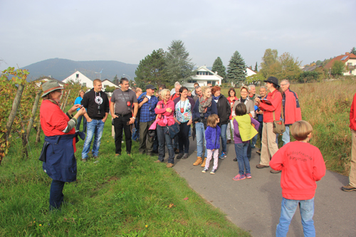 Weinbergführung 2014